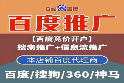 金融行业SEM服务的创新应用与效果
